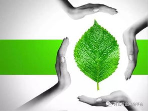 必看 實現磚廠企業達標排放 金瑞特環?？萍? />
</a>
<span><a href=